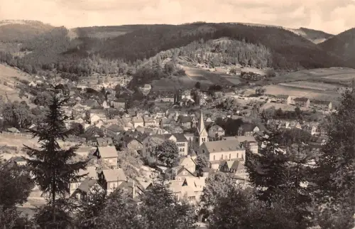 Steinach (Kreis Sonneberg) Panorama gl 183.975