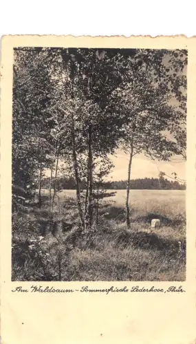 Lederhose/Thür. Am Waldsaum gl1944 184.044