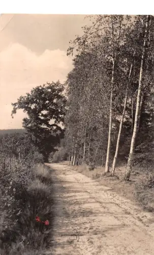 Bad Klosterlausnitz Waldweg gl1965 184.158