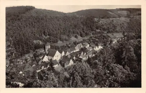 Ziegenrück a.d. Saale Panorama gl1956 184.232