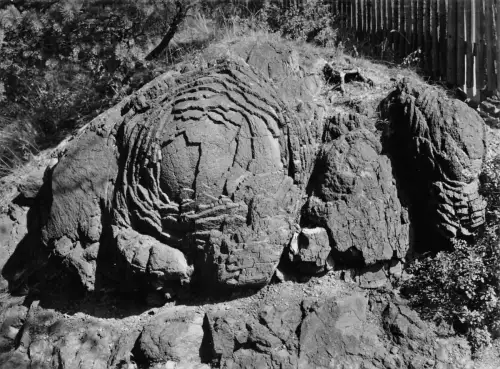 Gräfenwarth (Thür) Steinrose gl1974 184.235