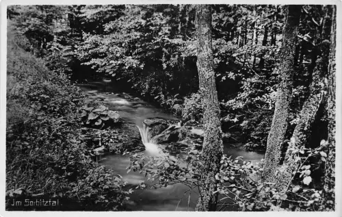 Sorbitztal Sorbitztal ngl 184.404