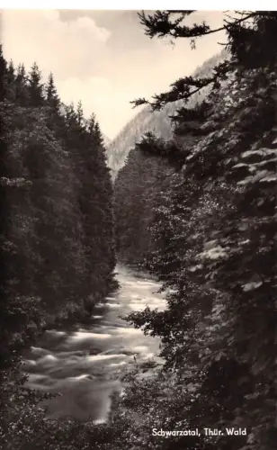 Schwarzatal - Partie an der Schwarza ngl 184.423