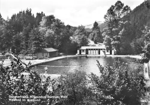 Wittgendorf Waldbad im Auegrund gl1973 184.457