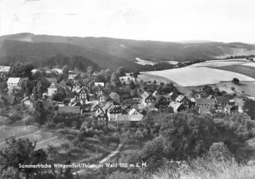 Wittgendorf Panorama gl 184.458