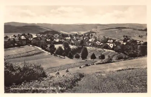 Wittgendorf Panorama ngl 184.486