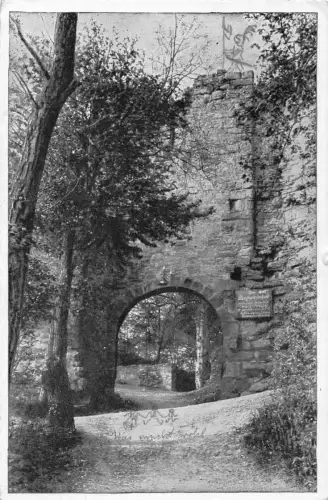 Bad Blankenburg Burgruine Greifenstein Eingangstor gl1923 184.512