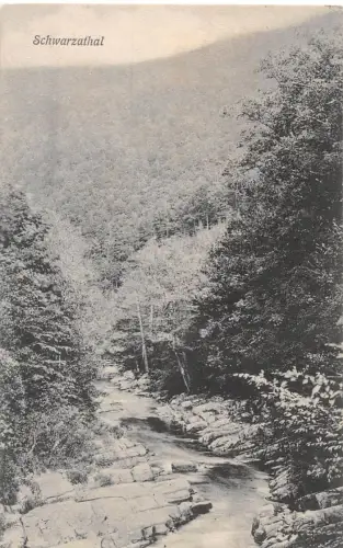 Schwarzatal - Partie an der Schwarza ngl 184.520