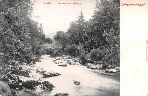 Schwarzatal (Thür.Wald) Partie an der steinernen Brücke ngl 184.514
