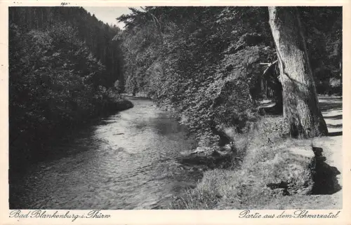 Bad Blankenburg Partie aus dem Schwarzatal gl1931 184.555
