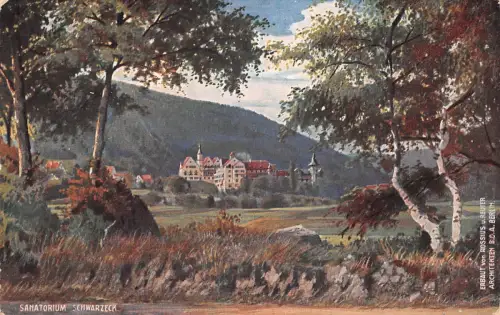 Bad Blankenburg Sanatorium Schwarzeck WIRO Künstlerkarte gl1921 184.607