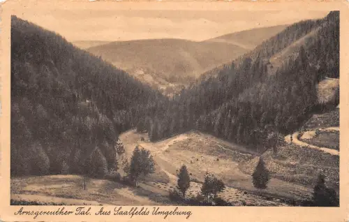 Saalfeld Arnsgereuther Tal gl1937 184.713