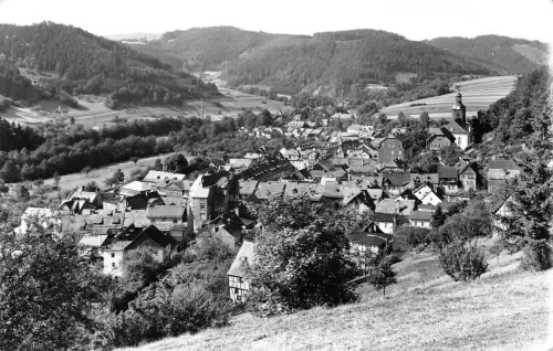 Leutenberg Blick von der Ernst-Pabst-Höhe gl1979 184.762