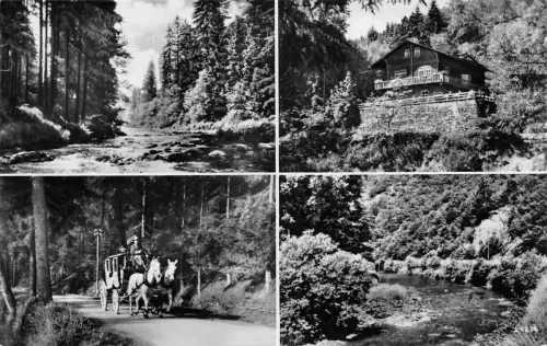 Schwarzburg (Thür.Wald) Schwarzatal Mehrbildkarte ngl 184.797