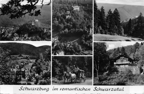 Schwarzburg (Thür.Wald) Mehrbildkarte gl1959 184.798