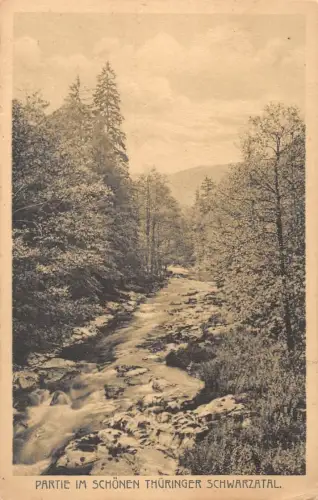 Schwarzatal (Thür.Wald) Teilansicht ngl 184.809