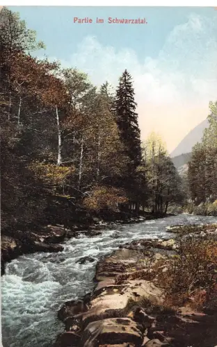 Schwarzatal (Thür.Wald) Teilansicht ngl 184.812