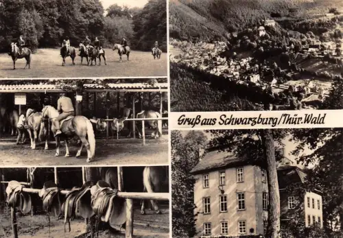 Schwarzburg (Thür.Wald) Mehrbildkarte ngl 184.828