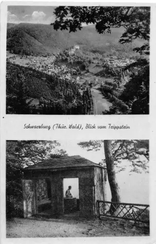 Schwarzburg (Thür.Wald) Blick vom Trippstein ngl 184.811