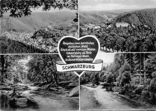 Schwarzburg (Thür.Wald) Mehrbildkarte gl1964 184.839
