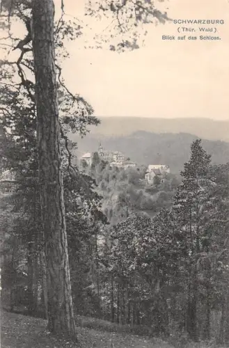 Schwarzburg (Thür.Wald) Blick auf das Schloß ngl 184.834
