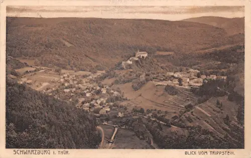 Schwarzburg (Thür.Wald) Blick vom Trippstein gl1924 184.830