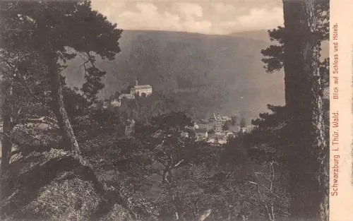 Schwarzburg (Thür.Wald) Blick auf Schloß und Hotels ngl 184.832