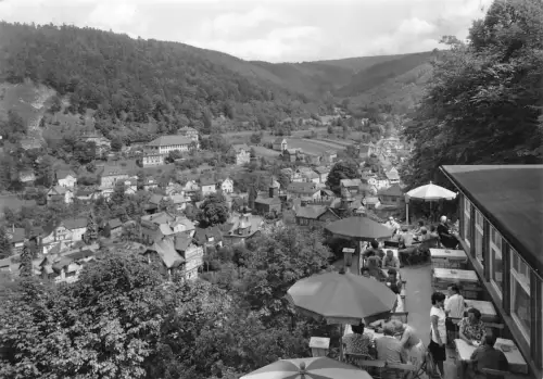 Schwarzburg (Thür.Wald) Teilansicht ngl 184.846