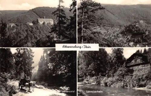 Schwarzburg (Thür.Wald) Mehrbildkarte ngl 184.849