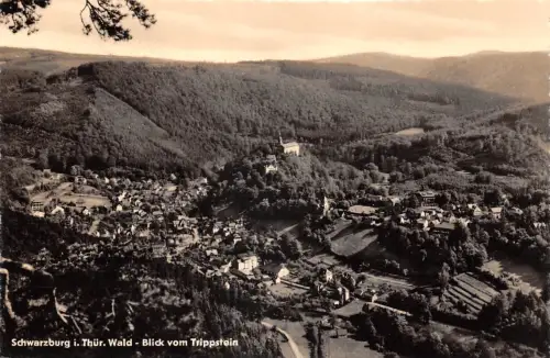 Schwarzburg (Thür.Wald) Blick vom Trippstein gl1963 184.857