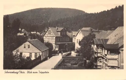 Schwarzburg (Thür.Wald) Blick vom Trippstein ngl 184.871