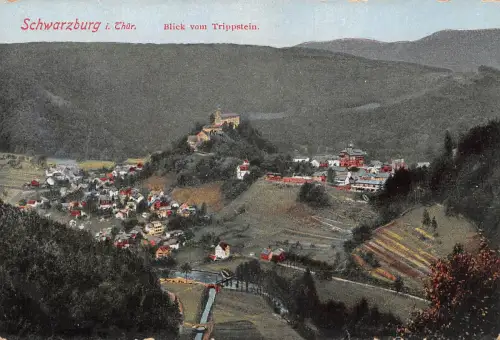 Schwarzburg (Thür.Wald) Panorama vom Trippstein ngl 184.856