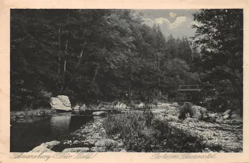 Schwarzburg (Thür.Wald) Partie im Schwarzatal ngl 184.875