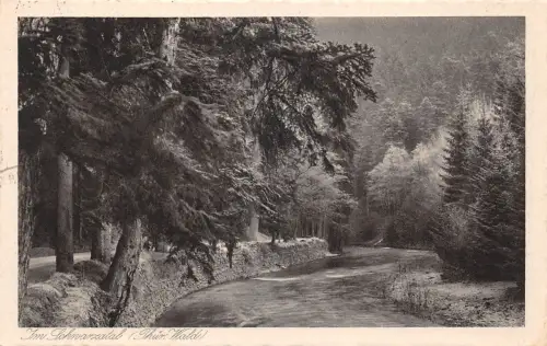 Schwarzburg (Thür.Wald) Im Schwarzatal gl1927 184.870