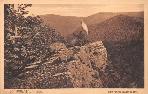 Schwarzburg (Thür.Wald) Der Griesbachfelsen ngl 184.877