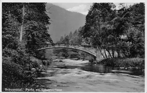 Schwarzatal (Thür.Wald) Partie am Schweizerhaus ngl 184.881