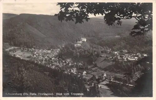 Schwarzburg (Thür.Wald) Blick vom Trippstein gl1933 184.886