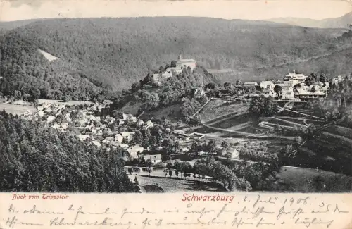 Schwarzburg (Thür.Wald) Blick vom Trippstein gl1906 184.863