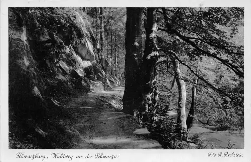 Schwarzburg (Thür.Wald) Waldweg an der Schwarza gl1939 184.873