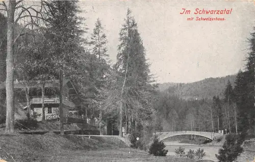 Schwarzburg (Thür.Wald) Schweizerhaus ngl 184.899