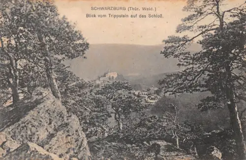 Schwarzburg (Thür.Wald) Blick vom Trippstein ngl 184.897