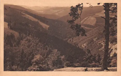 Schwarzburg (Thür.Wald) Blick ins Schwarzatal ngl 184.909