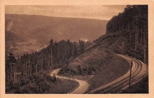 Schwarzburg (Thür.Wald) Partie bei Schwarzburg ngl 184.908