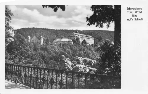 Schwarzburg (Thür.Wald) Blick auf das Schloß ngl 184.892