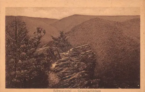 Schwarzatal (Thür.Wald) Der Griesbachfelsen ngl 184.914