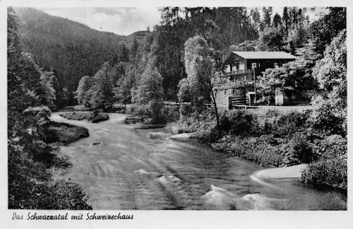 Schwarzatal (Thür.Wald) Das Schweizerhaus gl1960 184.919