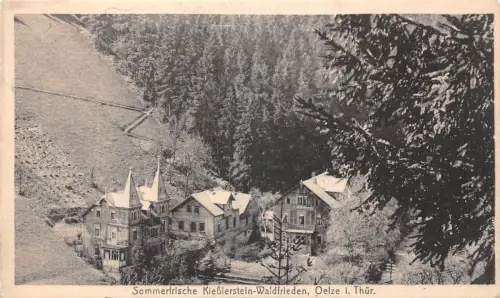 Oelze i. Thür. Sommerfrische Kießlerstein-Waldfrieden gl1922 184.915