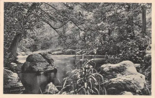 Schwarzburg (Thür.Wald) An der Schwarza gl1930 184.890
