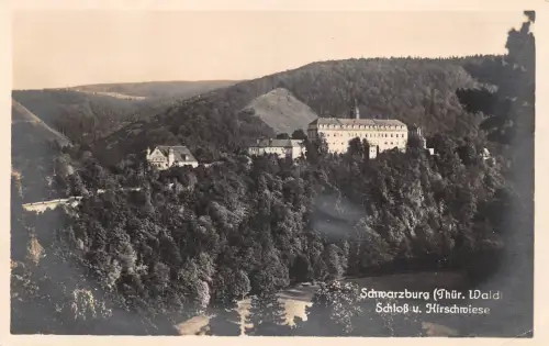 Schwarzburg (Thür.Wald) Schloß und Hirschwiese ngl 184.895