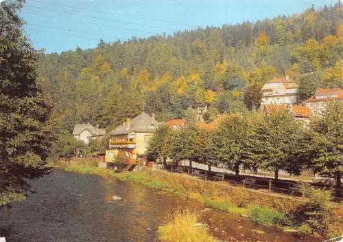 Schwarzburg (Thür.Wald) An der Schwarza gl 184.927